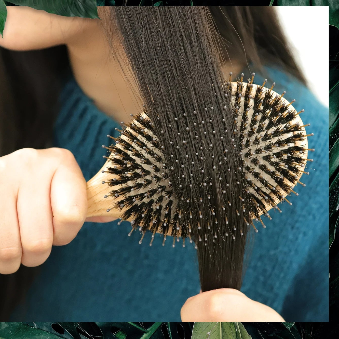 Femme qui se peigne avec brosse de coiffure haut de gamme en poils de sanglier, conçue pour offrir une finition lisse et brillante à vos cheveux. Le manche en bois de chêne, élégant et résistant, assure une prise en main confortable et une utilisation durable. Les poils de sanglier, doux et naturels, répartissent les huiles capillaires tout en démêlant en douceur, notamment les frisottis et préservant la santé de vos cheveux. Un accessoire indispensable