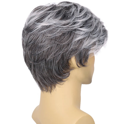 Perruque pour homme grise ,  une excellente solution pour camoufler la calvitie ou la perte de cheveux, tout en offrant un look naturel et élégant