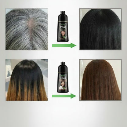 Avant et après l'utilisation du shampooing colorant pour cheveux, couvrant cheveux gris et éclaircis